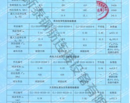 檢驗報告