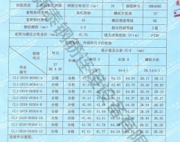 檢驗報告