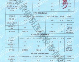 檢驗報告