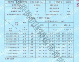 檢驗報告