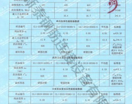檢驗報告