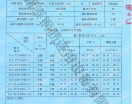 檢驗(yàn)報(bào)告