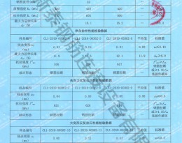 檢驗(yàn)報(bào)告